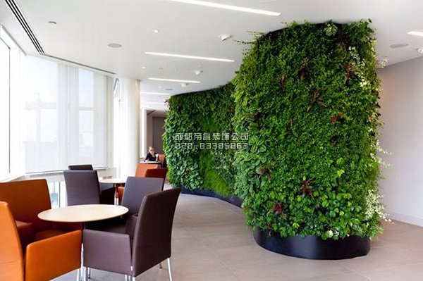 辦公室裝修完以后擺放什么綠植好？